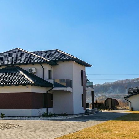 Casa Ambientt Ξενοδοχείο Curtea de Argeş Εξωτερικό φωτογραφία